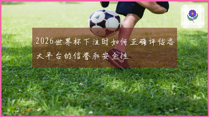 2026世界杯下注时如何正确评估各大平台的信誉和安全性