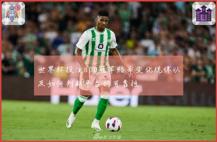 世界杯投注app冠军赔率变化规律以及如何判断平台的可靠性