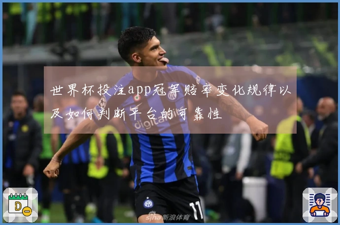 世界杯投注app冠军赔率变化规律以及如何判断平台的可靠性