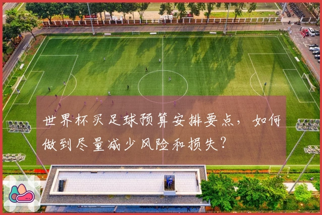 世界杯买足球预算安排要点，如何做到尽量减少风险和损失？
