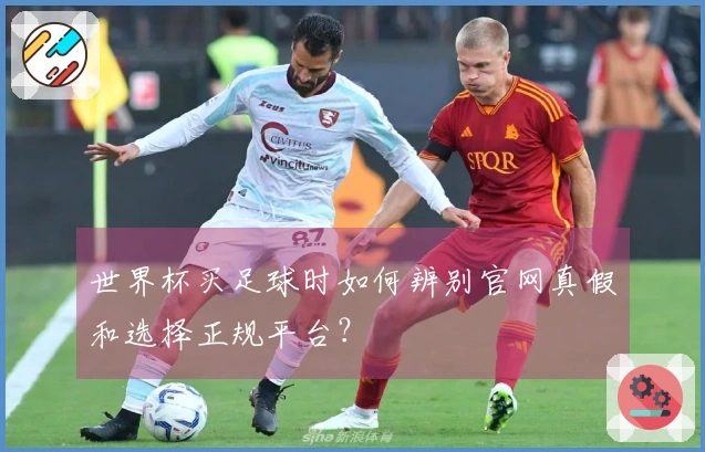 世界杯买足球时如何辨别官网真假和选择正规平台？