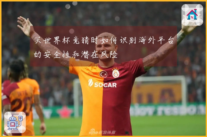 买世界杯竞猜时如何识别海外平台的安全性和潜在风险