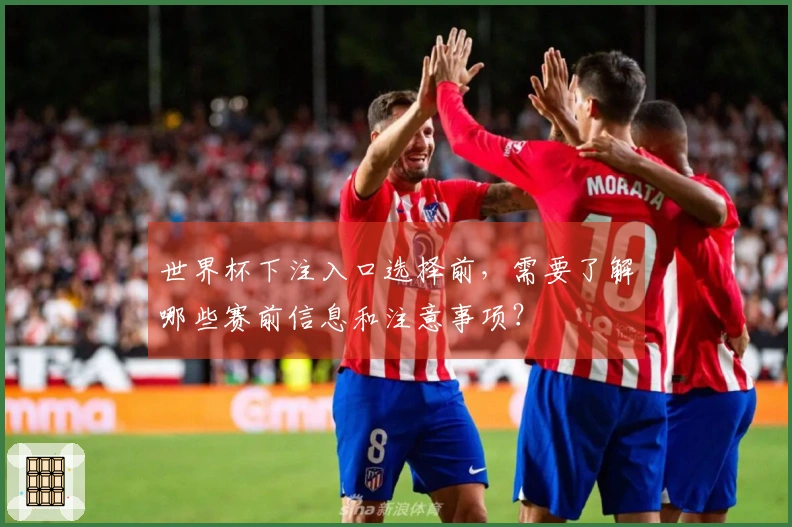 世界杯下注入口选择前，需要了解哪些赛前信息和注意事项？