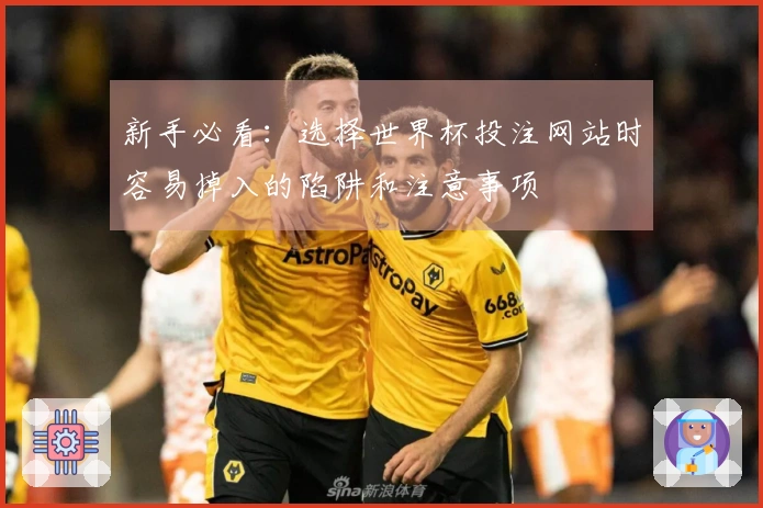 新手必看：选择世界杯投注网站时容易掉入的陷阱和注意事项