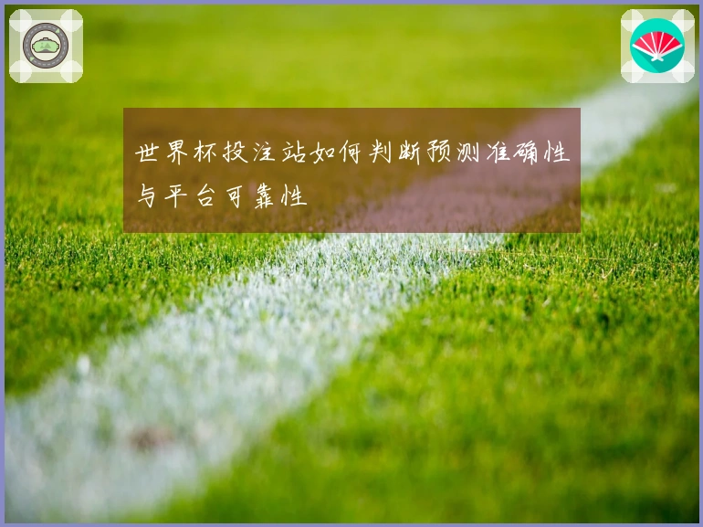 世界杯投注站如何判断预测准确性与平台可靠性
