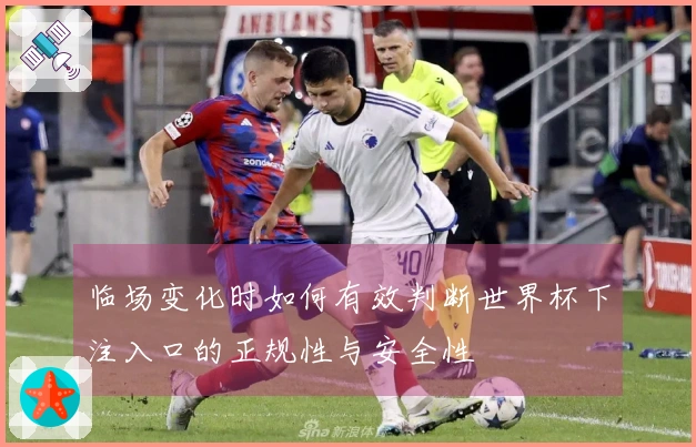临场变化时如何有效判断世界杯下注入口的正规性与安全性