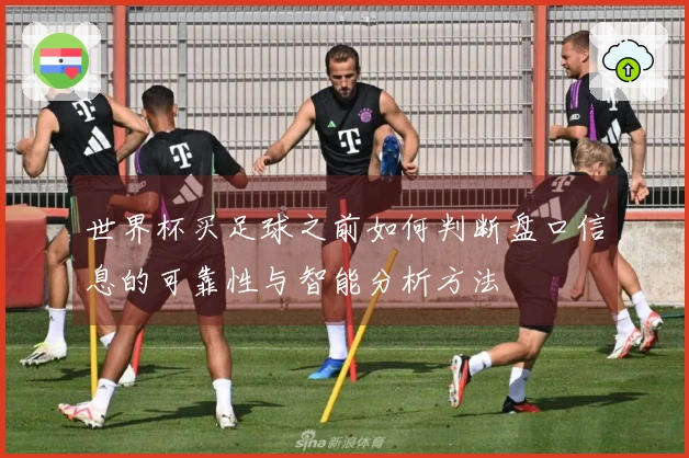 世界杯买足球之前如何判断盘口信息的可靠性与智能分析方法