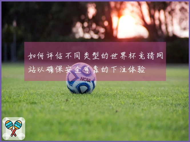 如何评估不同类型的世界杯竞猜网站以确保安全可靠的下注体验