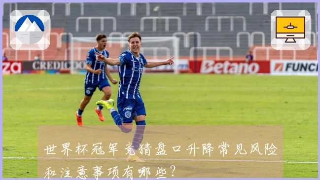 世界杯冠军竞猜盘口升降常见风险和注意事项有哪些？