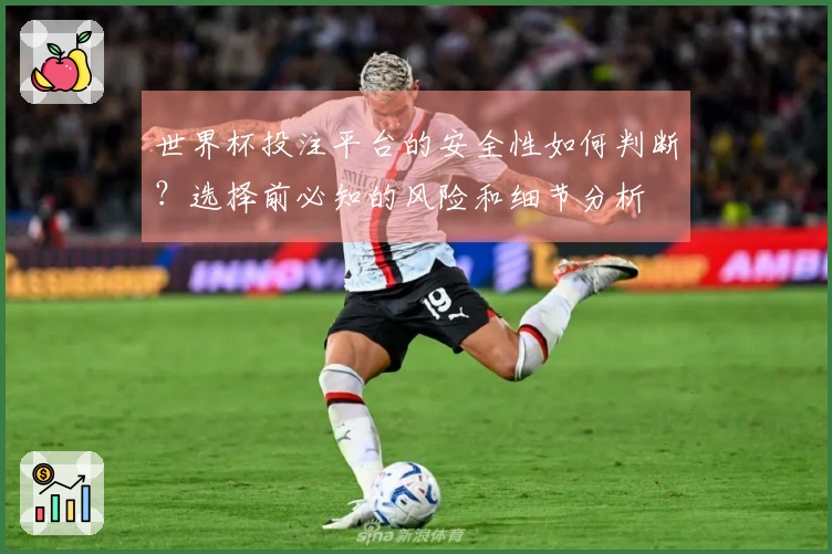 世界杯投注平台的安全性如何判断？选择前必知的风险和细节分析