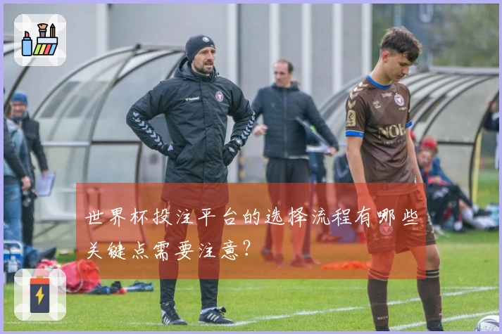 世界杯投注平台的选择流程有哪些关键点需要注意?