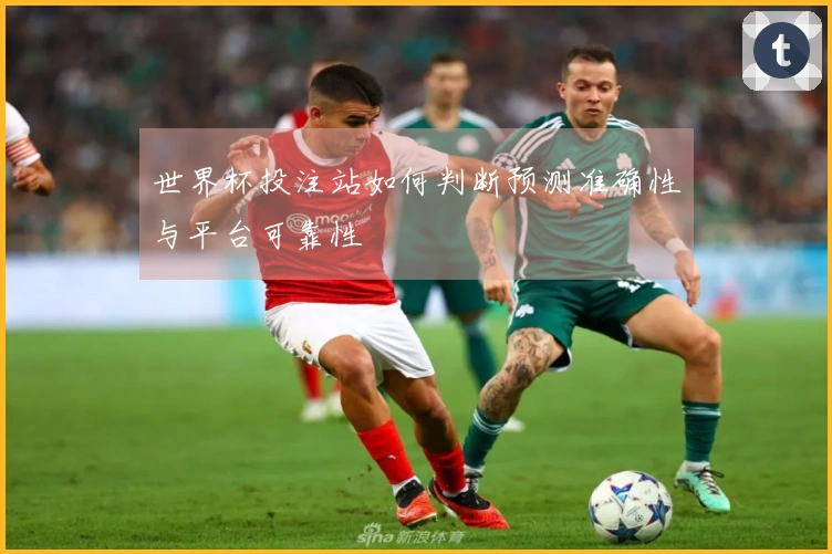 世界杯投注站如何判断预测准确性与平台可靠性