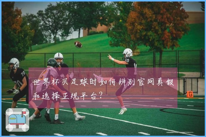 世界杯买足球时如何辨别官网真假和选择正规平台？