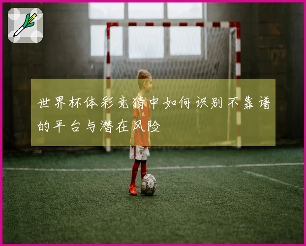 世界杯体彩竞猜中如何识别不靠谱的平台与潜在风险
