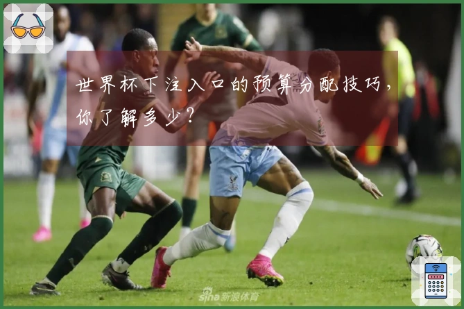 世界杯下注入口的预算分配技巧，你了解多少？