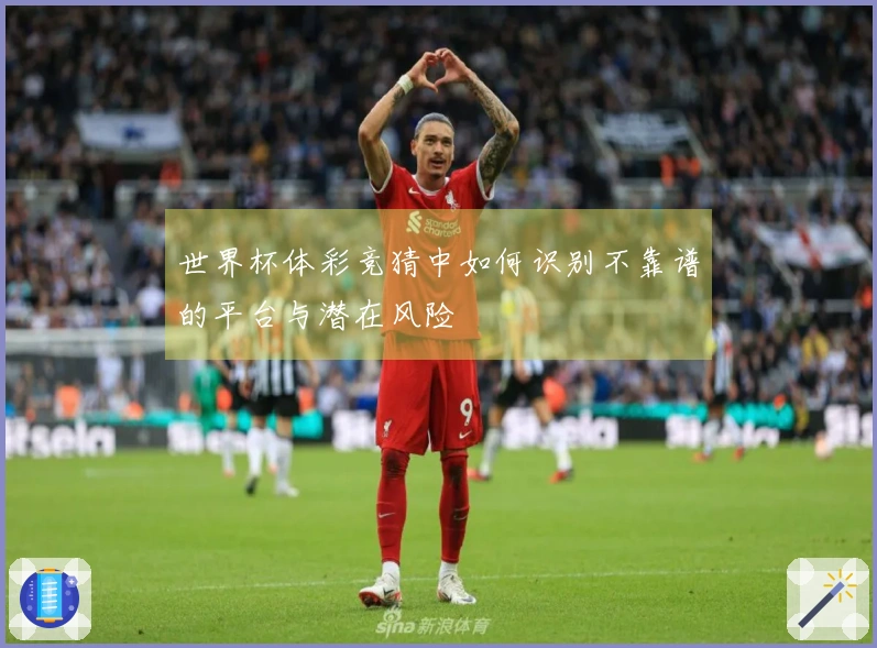 世界杯体彩竞猜中如何识别不靠谱的平台与潜在风险