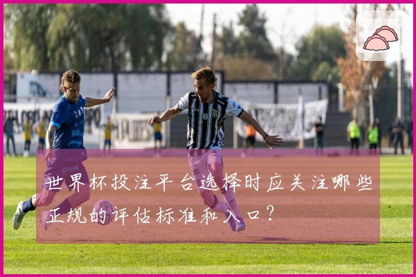 世界杯投注平台选择时应关注哪些正规的评估标准和入口？