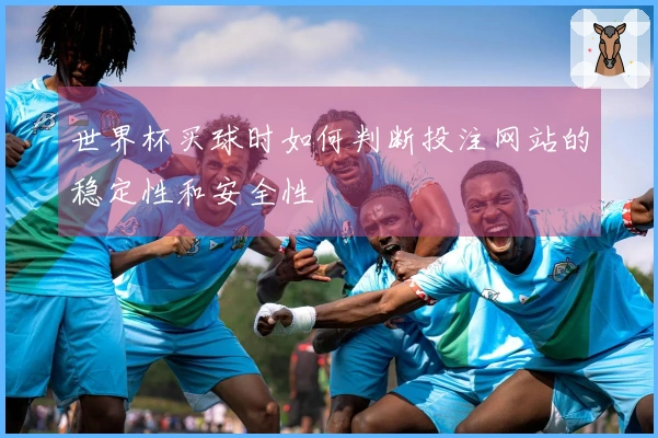 世界杯买球时如何判断投注网站的稳定性和安全性