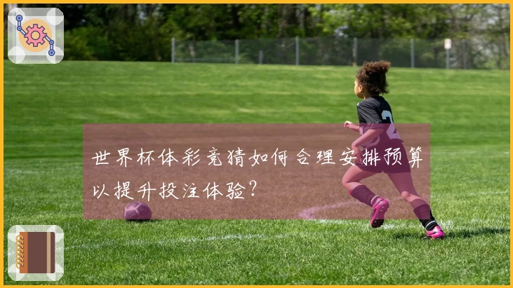 世界杯体彩竞猜如何合理安排预算以提升投注体验?