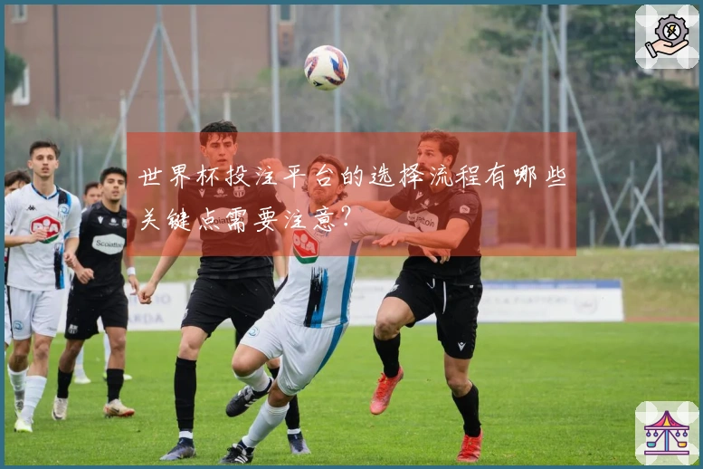 世界杯投注平台的选择流程有哪些关键点需要注意？